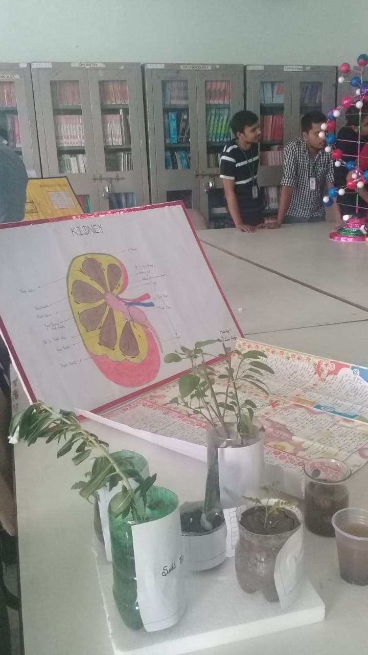 IIMT College of Pharmacy Greater Noida Campus & Facilities photo 16